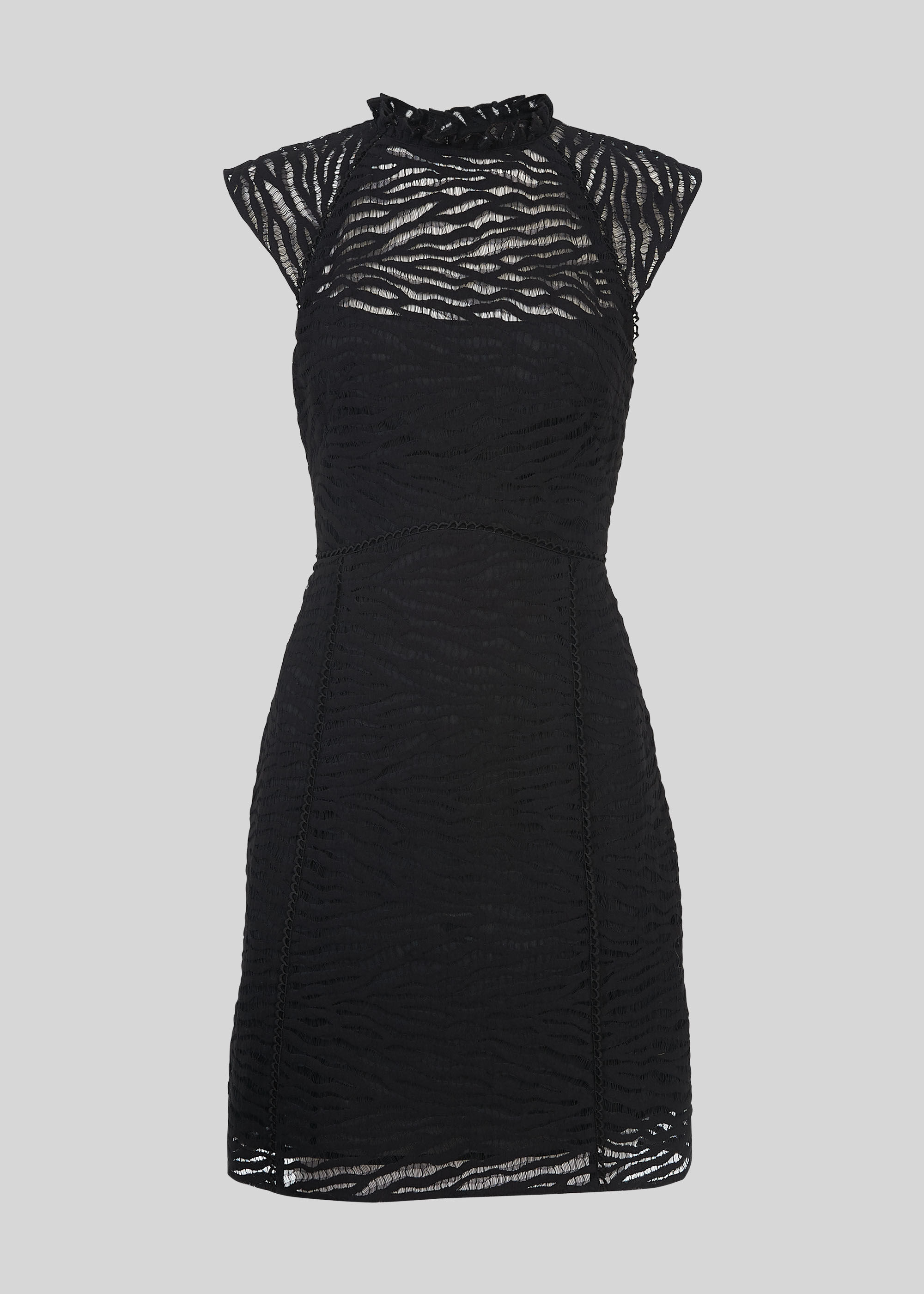 Black Animal Lace Dress | WHISTLES ...
